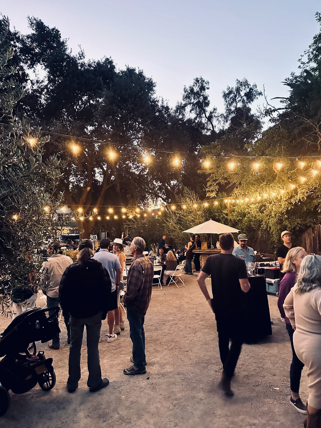 Wine Club Party Tickets